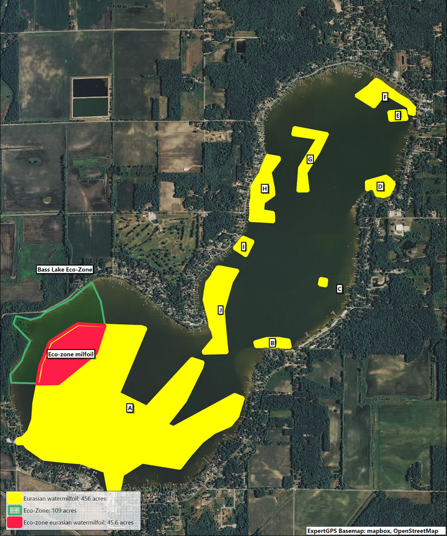 2020 Bass Lake Milfoil Map.jpg